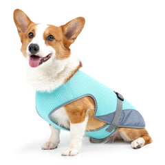 Summer Cooling Dog Vest Breathable Mesh Clothes for Small Large Dogs Outdoor Pet Cool Down Jackets Adjustable Dog Cooler Coat