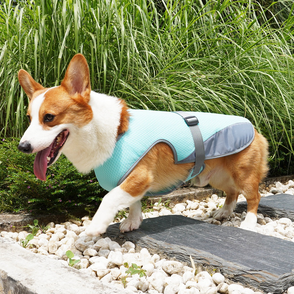 Summer Cooling Dog Vest Breathable Mesh Clothes for Small Large Dogs Outdoor Pet Cool Down Jackets Adjustable Dog Cooler Coat