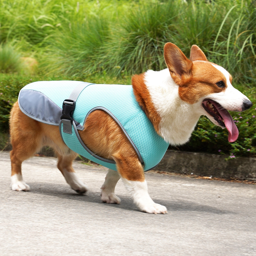 Summer Cooling Dog Vest Breathable Mesh Clothes for Small Large Dogs Outdoor Pet Cool Down Jackets Adjustable Dog Cooler Coat