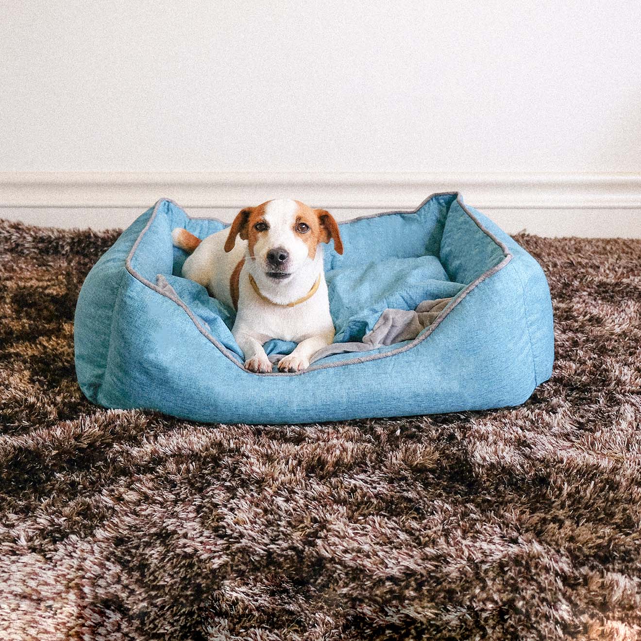 Premium Fully Detachable Pet Sleeping Mat / Pet Bed